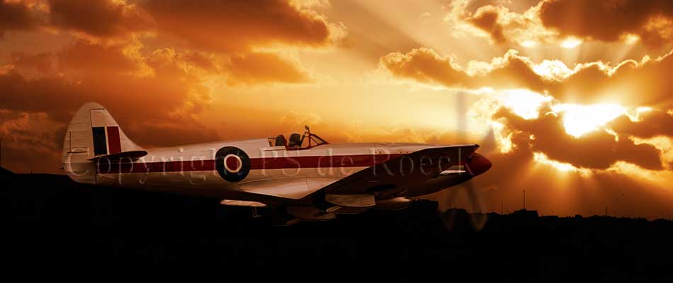 Spitfire MkXIV RN201